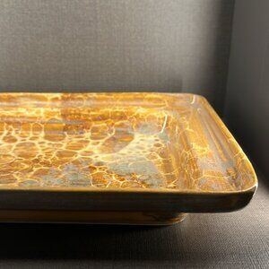 Camphill Pottery, Porcelain Rimmed Platter, Dragon Fly, Studio Ceramic Tray.